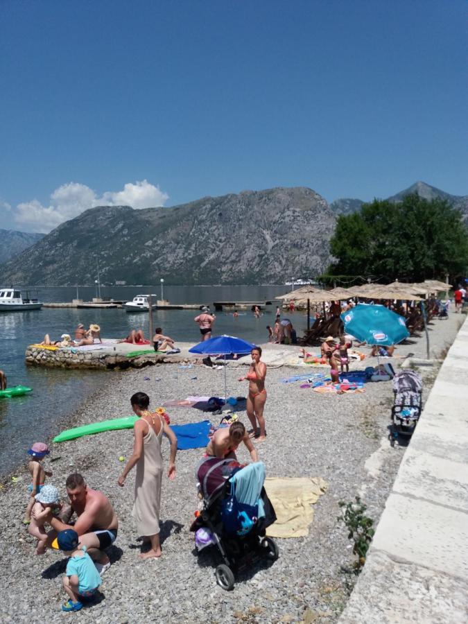 Apartment Deki Studio Kotor Exteriör bild