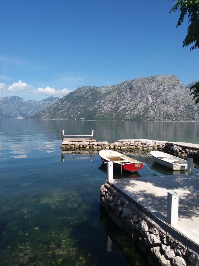 Apartment Deki Studio Kotor Exteriör bild