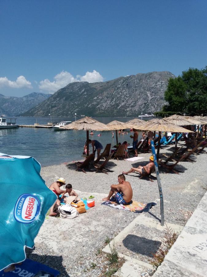 Apartment Deki Studio Kotor Exteriör bild