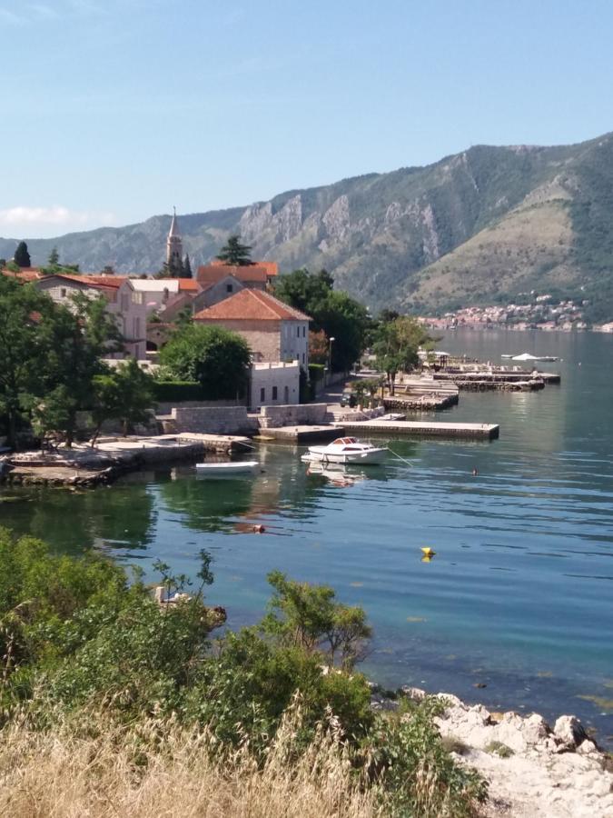 Apartment Deki Studio Kotor Exteriör bild