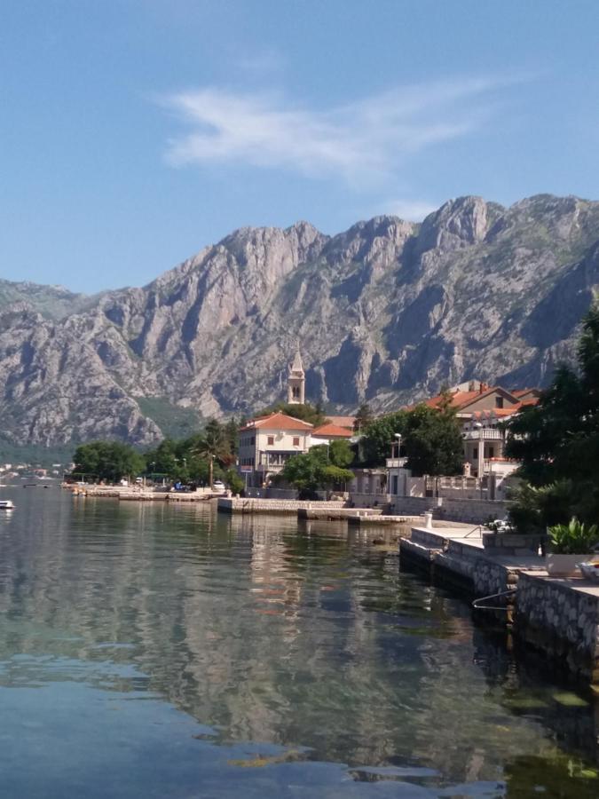Apartment Deki Studio Kotor Exteriör bild