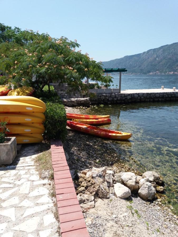 Apartment Deki Studio Kotor Exteriör bild